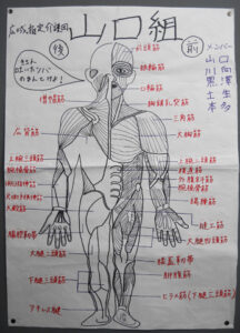 Ihmisen anatomia ja fysiologia.